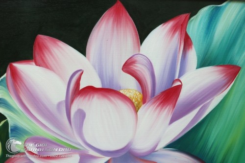 Tranh Hoa Sen Hồng Xinh Đẹp