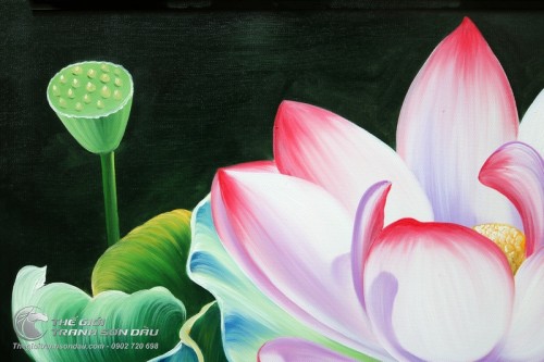 Tranh Hoa Sen Hồng Xinh Đẹp