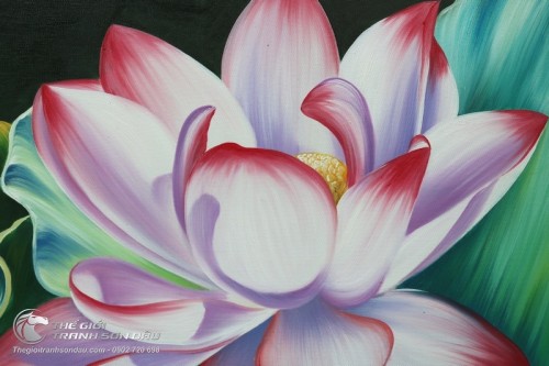 Tranh Hoa Sen Hồng Xinh Đẹp