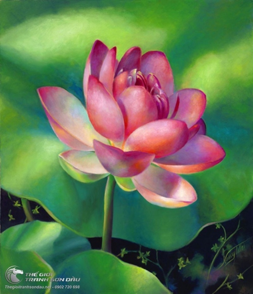 Tranh Hoa Sen Thanh Nhã