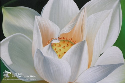 Tranh Hoa Sen Trắng Tinh Khôi