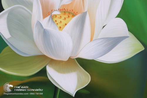 Tranh Hoa Sen Trắng Tinh Khôi