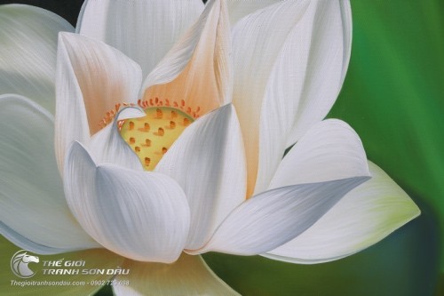 Tranh Hoa Sen Trắng Tinh Khôi