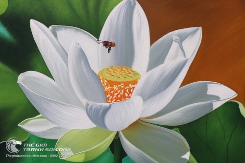 Tranh Hoa Sen Trắng Trong Sáng