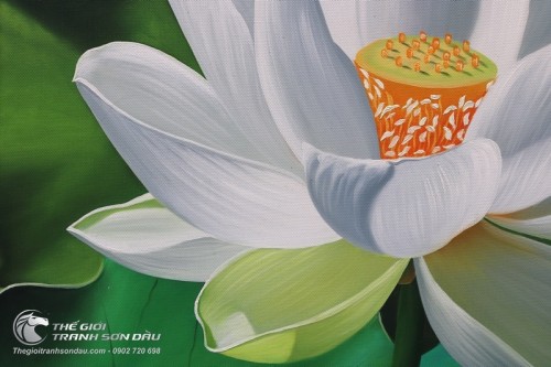 Tranh Hoa Sen Trắng Trong Sáng