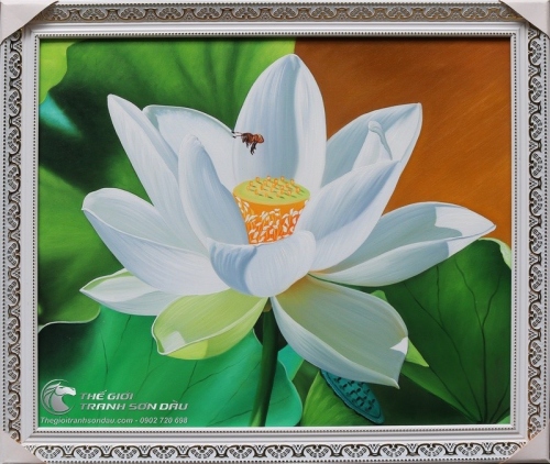 Tranh Hoa Sen Trắng Trong Sáng