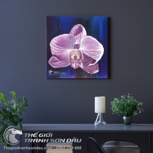Tranh Một Bông Hoa Lan Nở Rộ