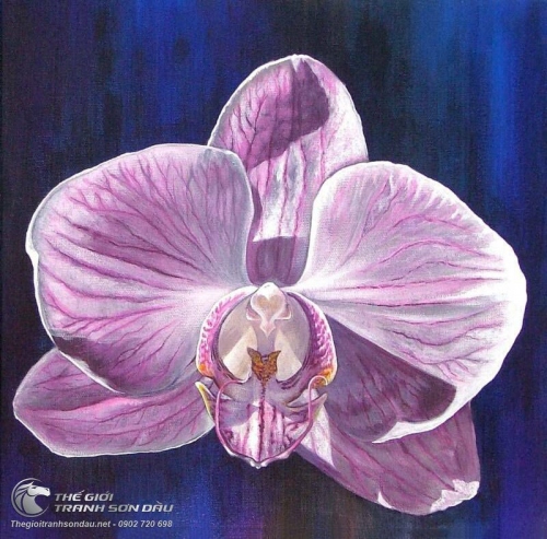Tranh Một Bông Hoa Lan Nở Rộ