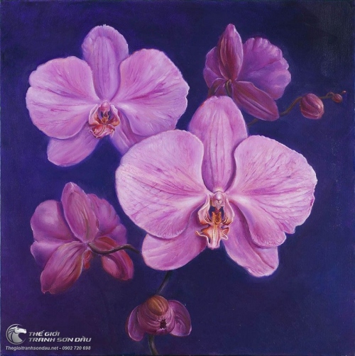 Tranh Năm Bông Hoa Lan Tím
