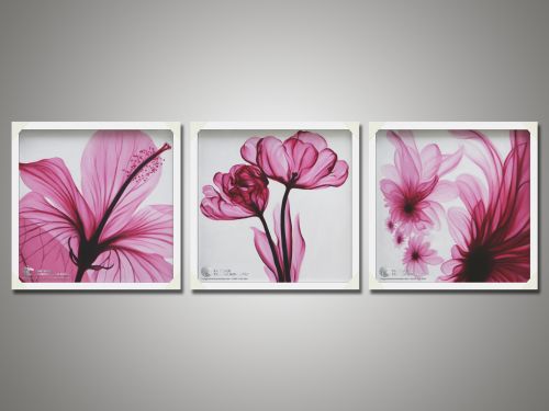 Tranh Sơn Dầu Hiện Đại Hoa Màu Hồng Bộ 3 Tấm