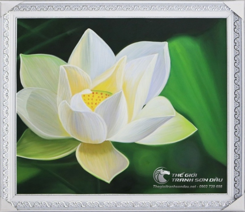 Tranh Sơn Dầu Hoa Sen Trắng Tả Thực