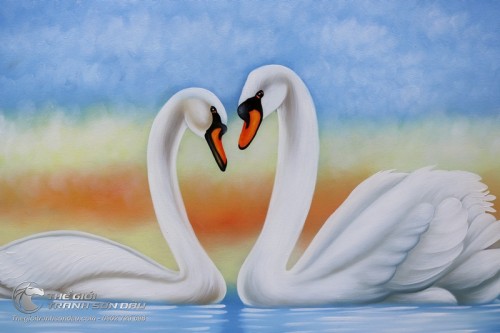 Tranh Thiên Nga Trắng