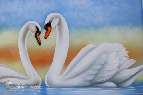 Tranh Thiên Nga Trắng