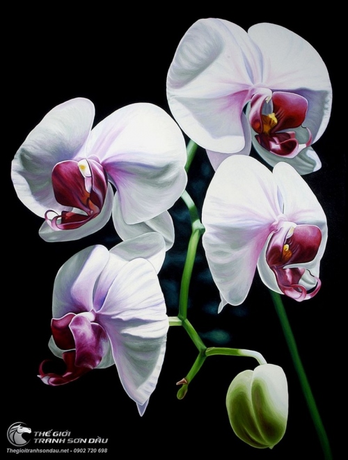 Tranh Tứ Đóa Hoa Lan Trắng