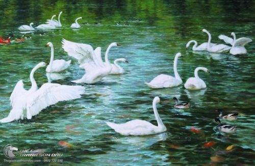 Tranh Vẽ Bầy Thiên Nga Và Bầy Vịt